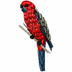 Parrots Embroidery Design 1 Parrots Embroidery Design 1